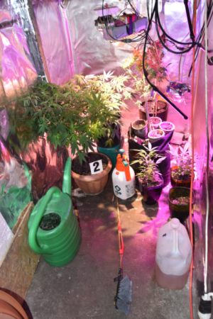 zabezieczone środki odurzające